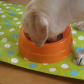 お食事タイム・おっぱいタイム？の画像