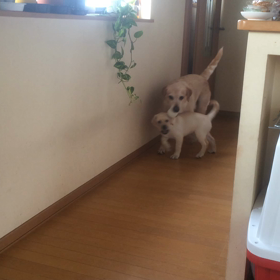 今朝も早よから。の画像