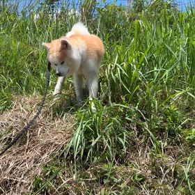 今日の孝一の画像