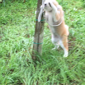 じっっと、してません。  (＞＜)の画像