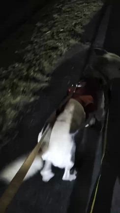 2025総集編の記事動画