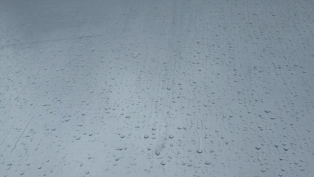 今日は雨降り…の記事動画