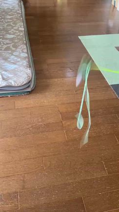 可愛いでしょの記事動画