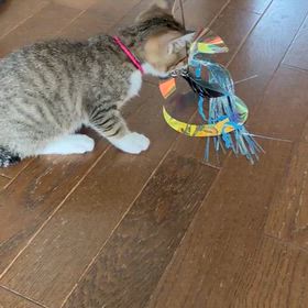 移動のサムネイル画像