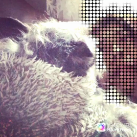 黙っての画像