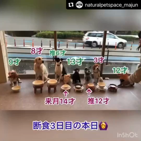 悟るとはの画像