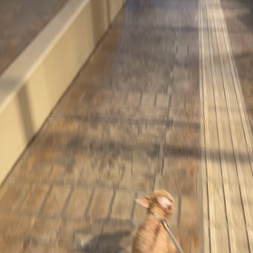 階段の画像