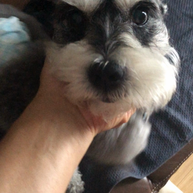 控えめなはずが…の画像