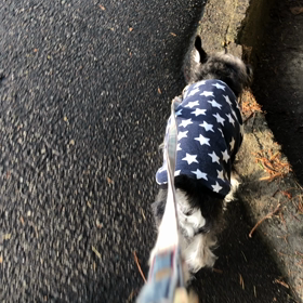 綱渡りの画像