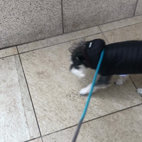 濡れずに済ますの画像