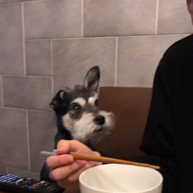 エア食の画像
