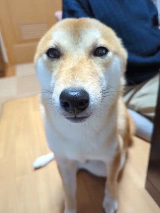 表情で気持ちが分かっちゃうの記事動画