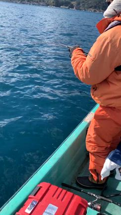 1月8日　尾鷲釣果の記事動画