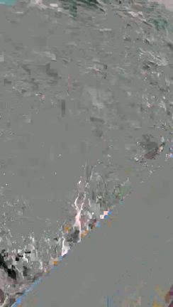 クログチに代わりマダイ爆釣‼️メジロに大サバにアジ、ヒラスズキ‼️－１日の釣果－の記事動画