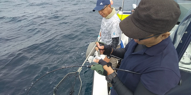 にゃん丸号つりハナ仙台本日の釣果の記事動画