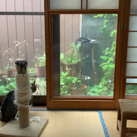 訪問者2の画像