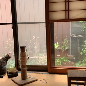 発見されました。の画像