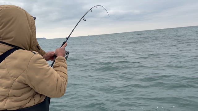 中鯛３枚止まり(T ^ T)の記事動画