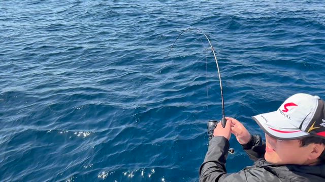 午前はマハタヒラメワラサ午後は大鯛中鯛ワラサ♪の記事動画