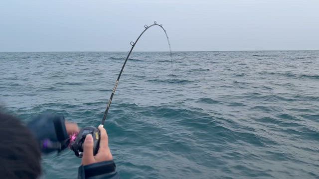 午前は大マハタで午後からイワシパターン炸裂♪の記事動画