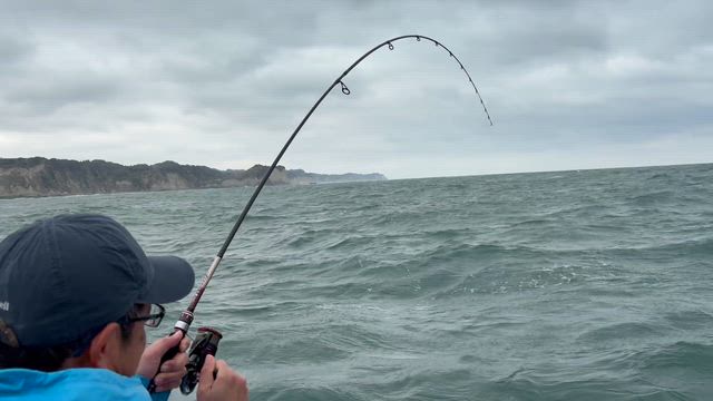 午前ヒラメ釣りの記事動画