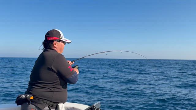 今日もX♪の記事動画