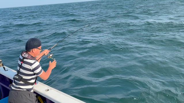午後からは浅場探索♪の記事動画