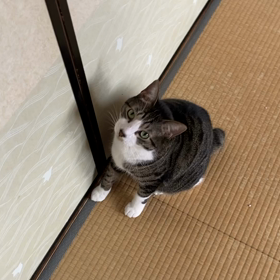 何が‼️の画像