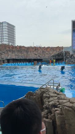 家族で弾丸名古屋港水族館へ！の記事動画