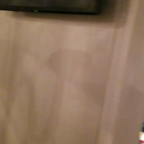 面白い動画の画像