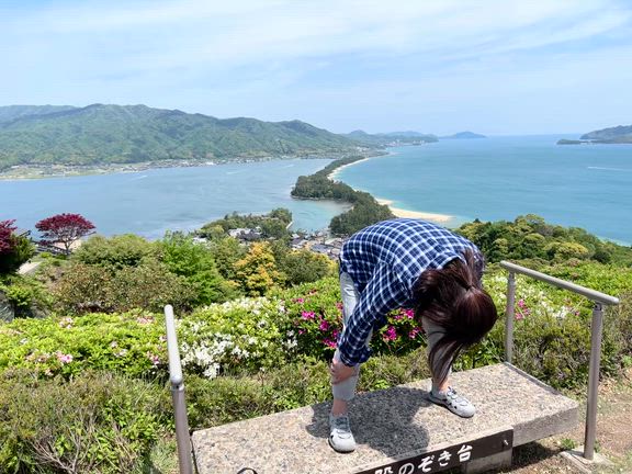 日本三景｢天の橋立｣ってどんなとこ！の記事動画
