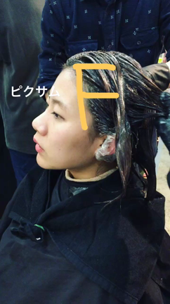 外国人風カラーの素の記事動画