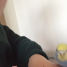 脚気だったぴぃさん⑤の画像