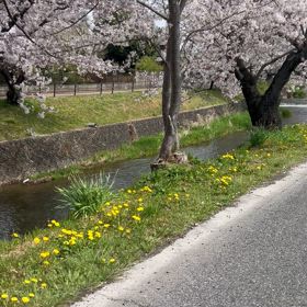 カブ散歩の画像
