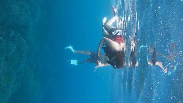 2022バリ島旅行回想編の記事動画