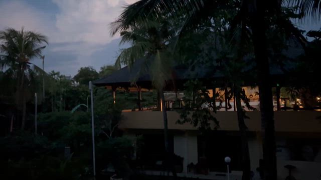 2025バリ島旅行＠2日目の記事動画