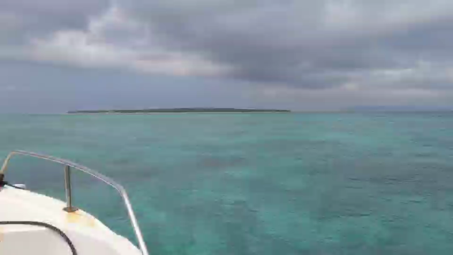 ４日目は海への記事動画