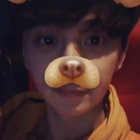 【Siwoo】犬？～インスタ写真～の画像