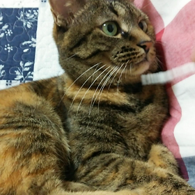 動かない(T-T)の画像