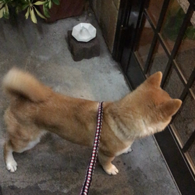 みかどの画像