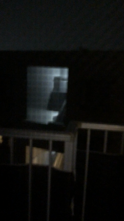 昨夜はの記事動画