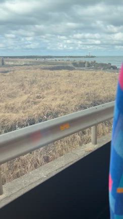 迫力の記事動画
