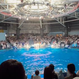 6年ぶりアクアパーク品川　イルカショー昼の部の画像