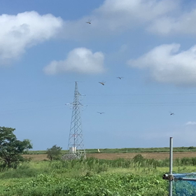 夏も終わりが近づいてるの画像