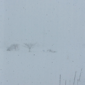 猛吹雪の中の画像