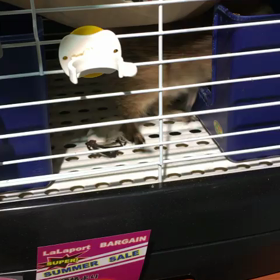 友達募集中の画像