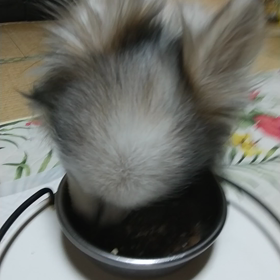ウマウマ❤️の画像