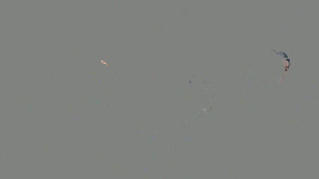 GENスポーツアカデミー忘年会。の記事動画