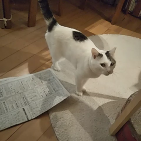 遂に捕捉しました！の画像