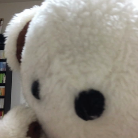 発展途上の英語力。帰国後の変化②の画像